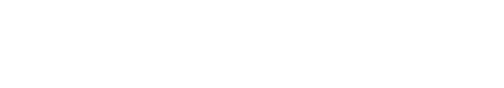 VIRTUAL TWINS: 4 CHALLENGES, 1 SOLUTION