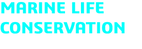 MARINE LIFE CONSERVATION