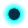 Oval