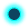 Oval
