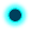 Oval
