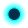 Oval