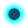 Oval