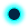 Oval
