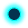 Oval