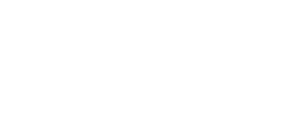 Detect and predict the impact of natural   disasters on territories and cities  Minimize disaster events on a large s   