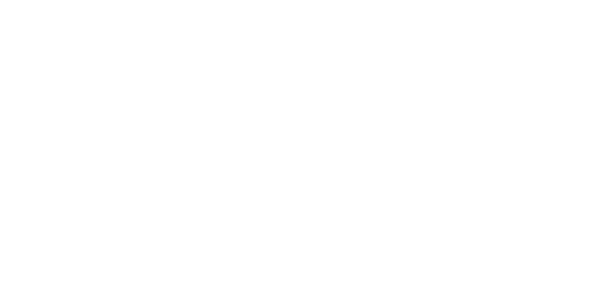 Enhance mobility infrastructures by setting up more efficient, reliable and safe transportation networks  Optimize mo   